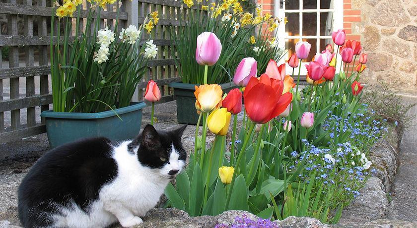 Budleigh Farm Cottages Moretonhampstead Eksteriør billede